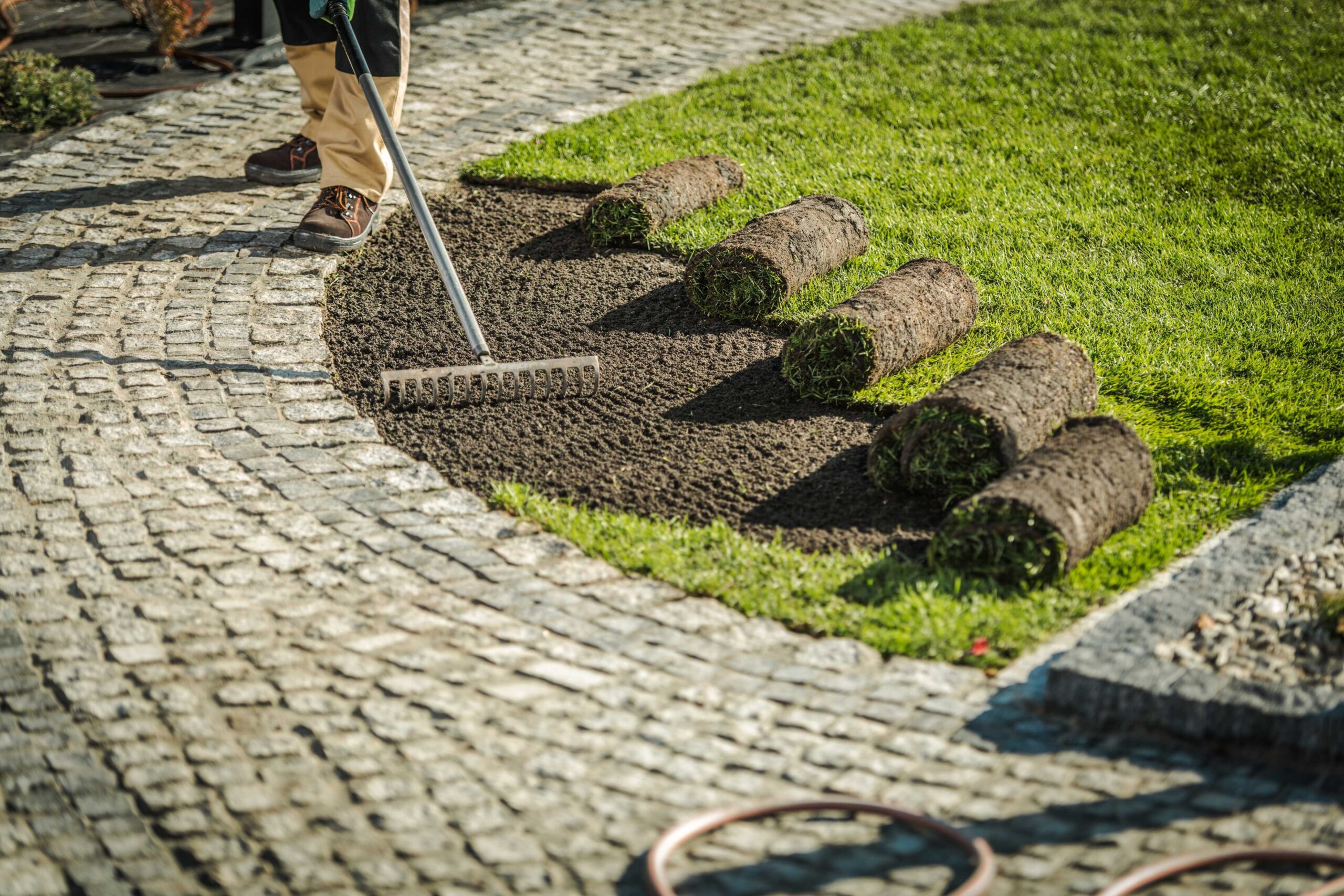 Sod installation
